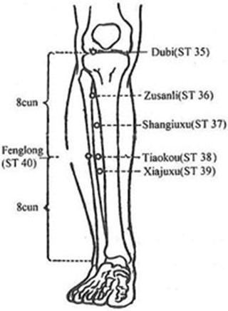 Accupressure Points